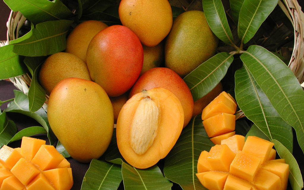 Glenn Mango Fruit  5 Pounds